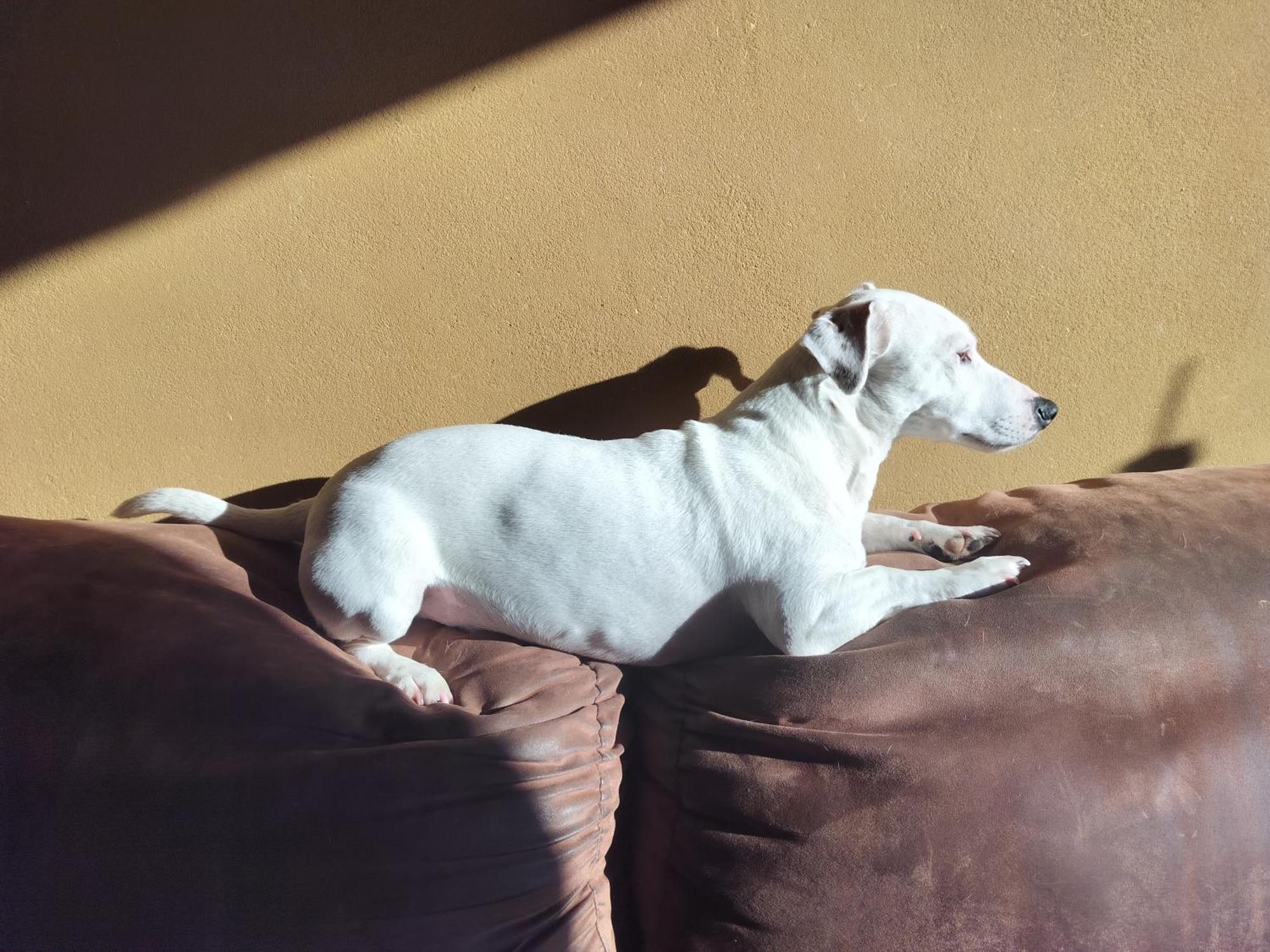 Gee Is Sharing Her Home Liege Luaran gambar